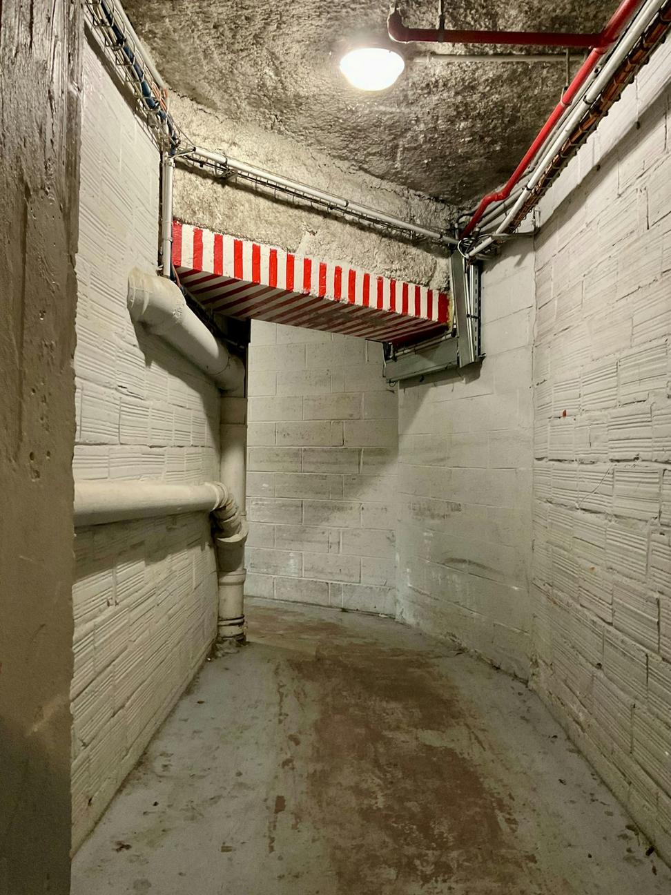 Entertainment Basement Renovation